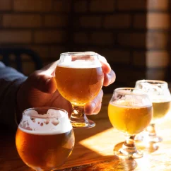 Dégustation à la Brasserie Zenzyme à Ennery - Val d'Oise (95)