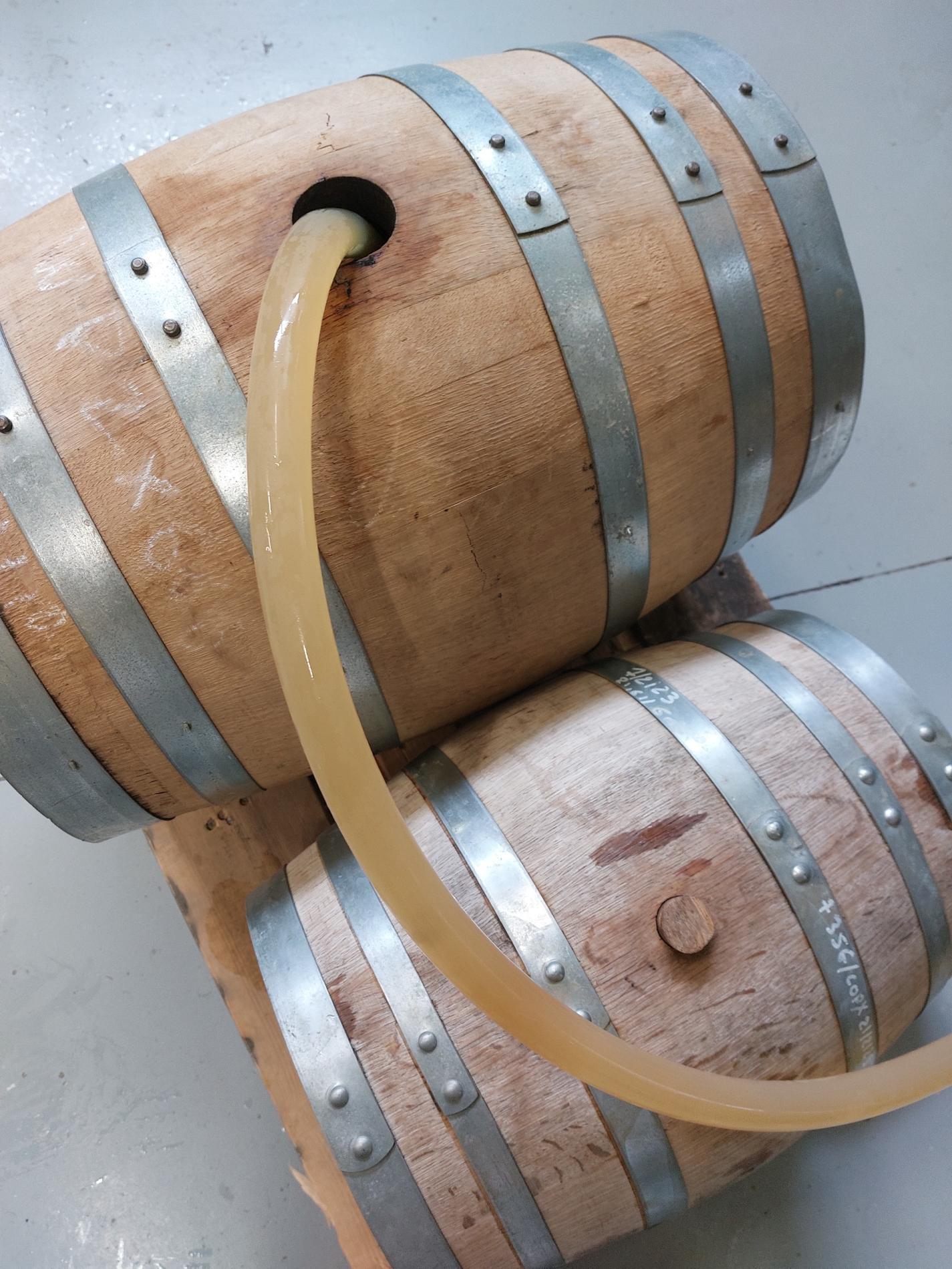 Vieillissement de l'IPA en baril de rhum et whisky